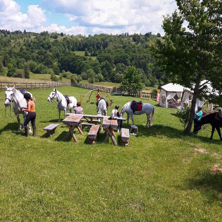 Penzion Casa Bradet Întorsura Buzăului Exteriér fotografie