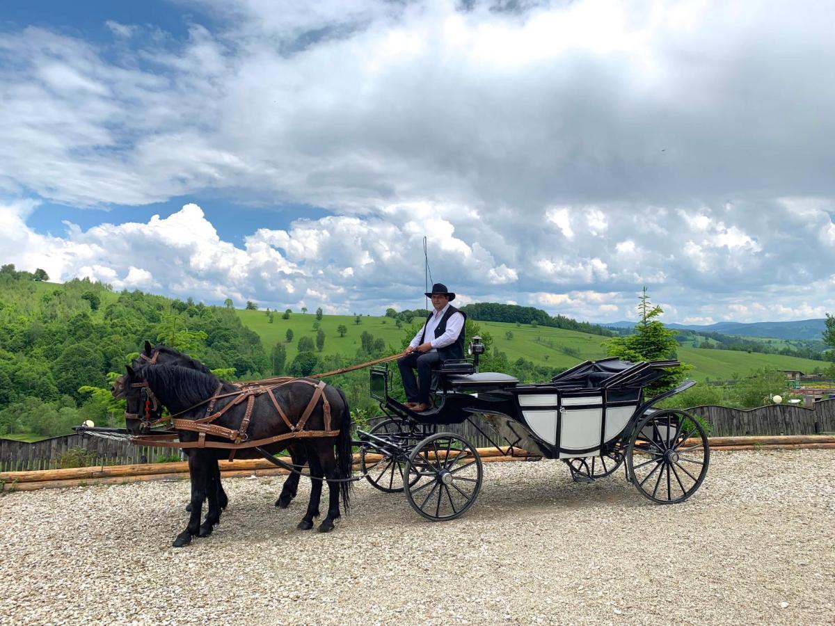 Penzion Casa Bradet Întorsura Buzăului Exteriér fotografie