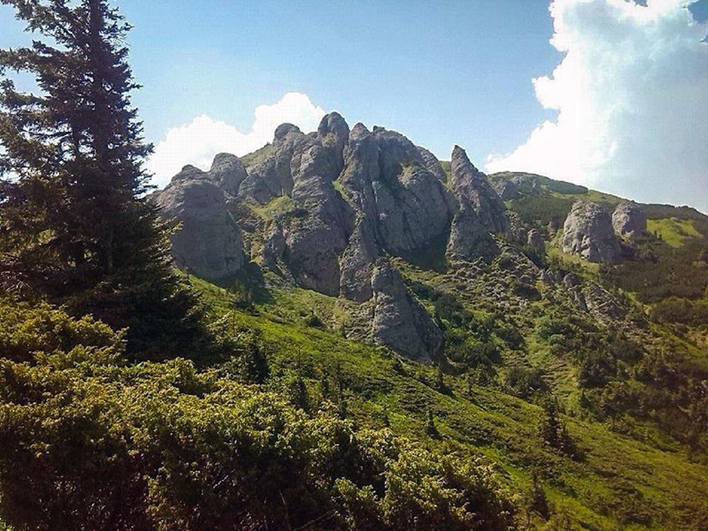 Penzion Casa Bradet Întorsura Buzăului Exteriér fotografie